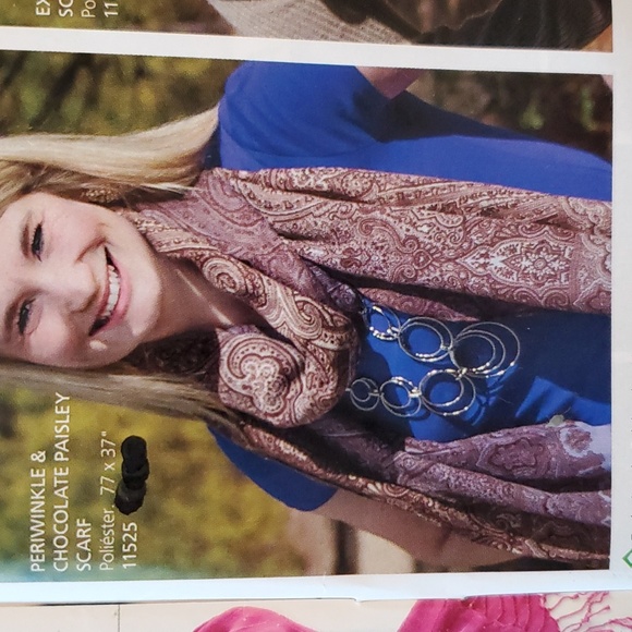 Penelope Ann New Scraf Periwinkle and Chocolate Paisley 77" x 37" - Picture 1 of 7